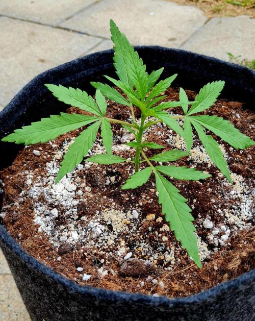 Sundae Worship 🙏. Week 5