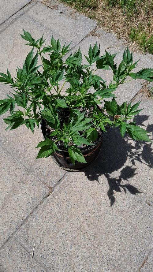 Sleep Outside
