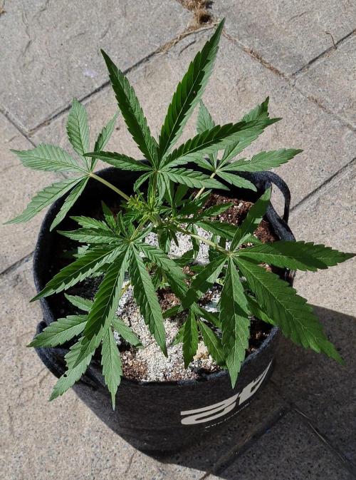 Sundae Worship 🙏. Week 6