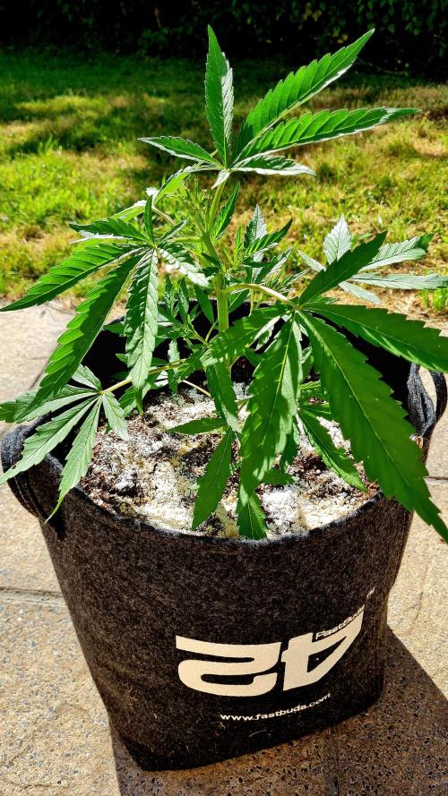 Sundae Worship 🙏. Week 6