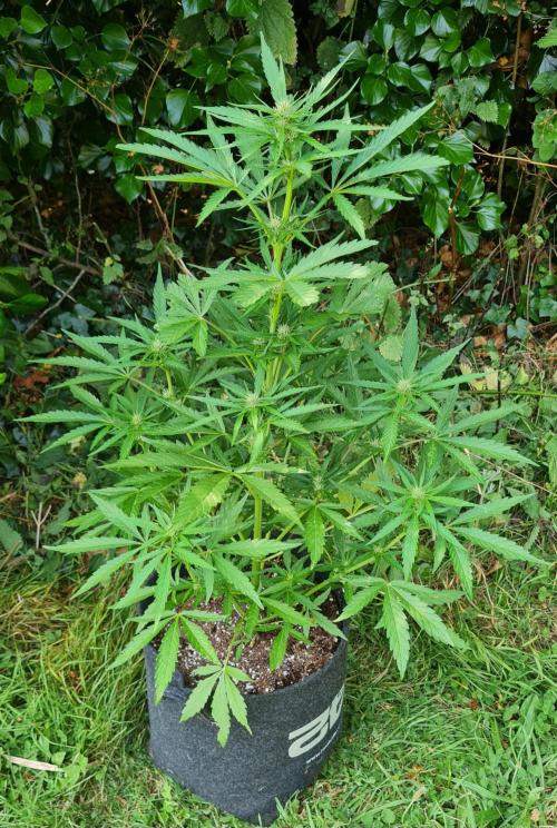 Sundae Worship 🙏. Week 8