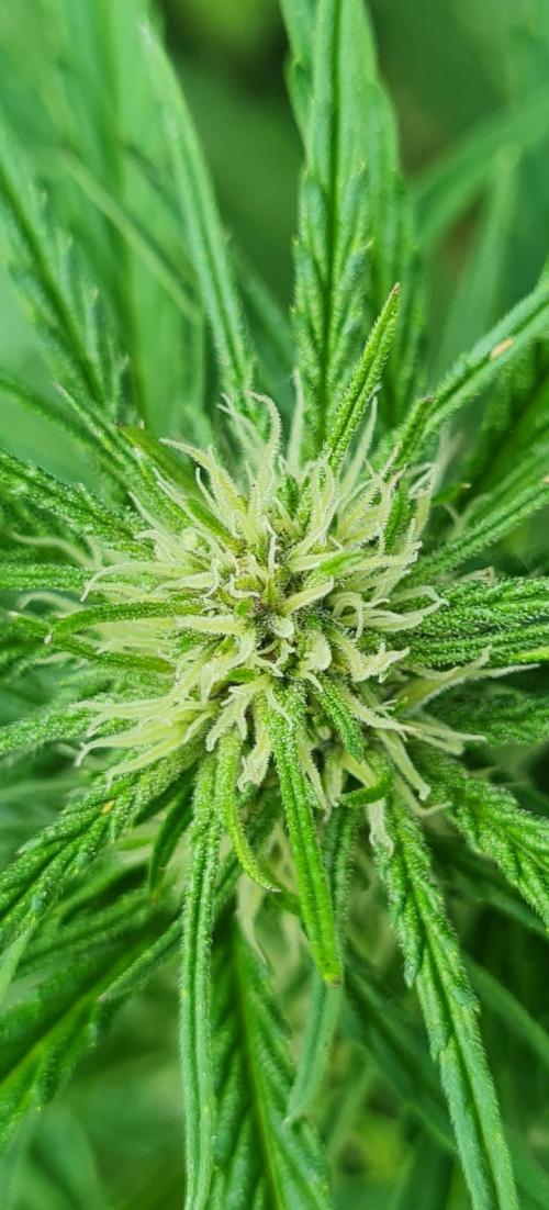 Sundae Worship 🙏. Week 8