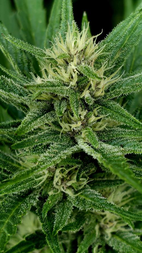 Sundae Worship 🙏. Week 9