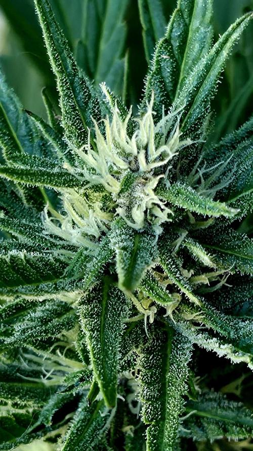 Sundae Worship 🙏. Week 9