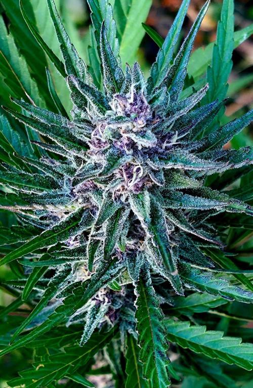 Sundae Worship 🙏. Week 11