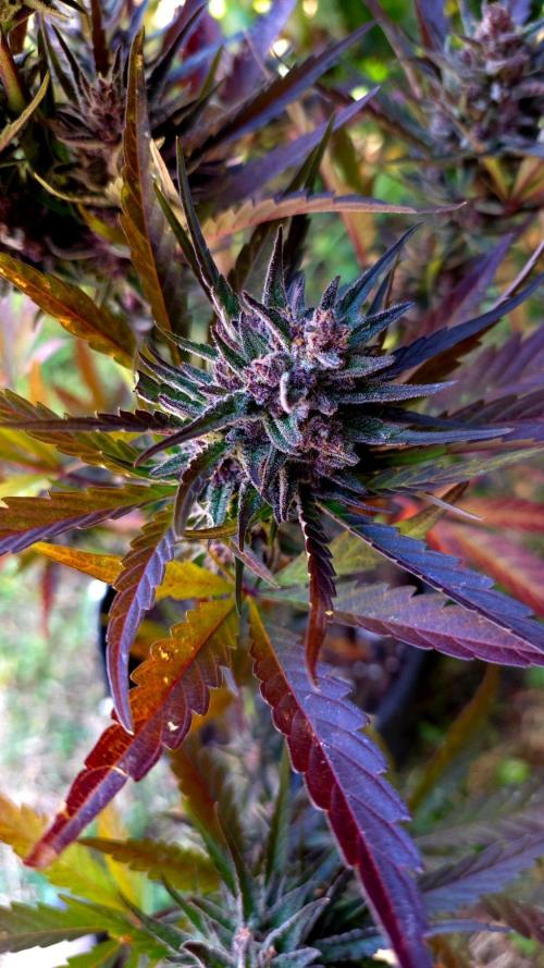 Sundae Worship 🙏. Week 13