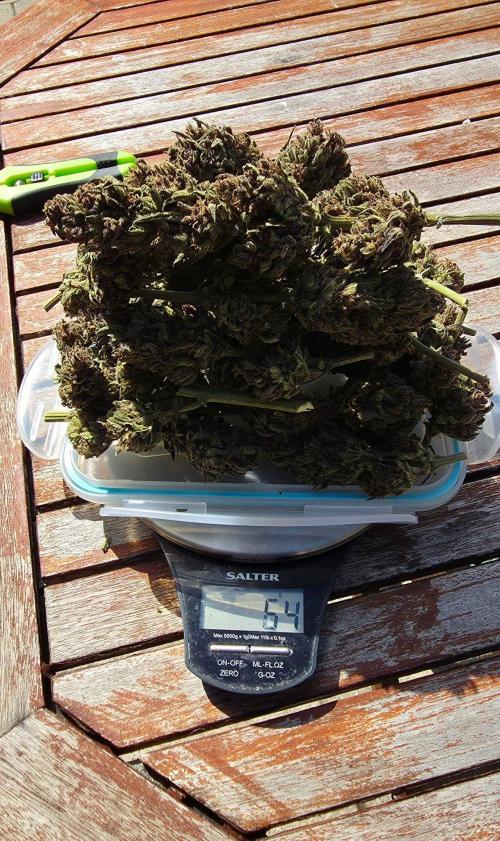 Sundae Worship 🙏. Week 13