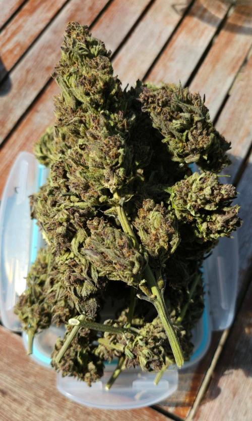 Sundae Worship 🙏. Week 13