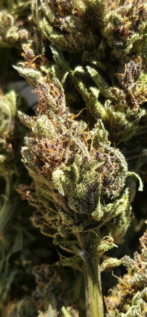 Sundae Worship 🙏. Week 13