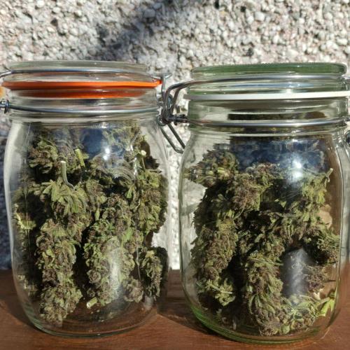 Sundae Worship 🙏. Week 13