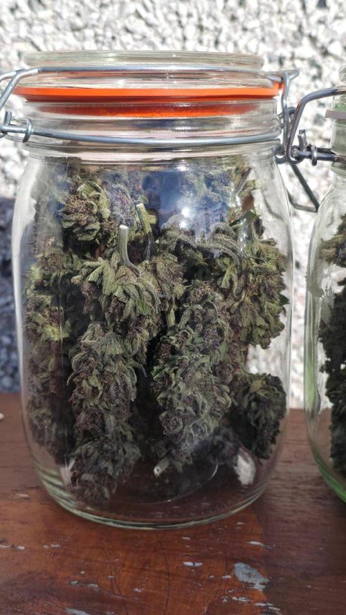 Sundae Worship 🙏. Week 13