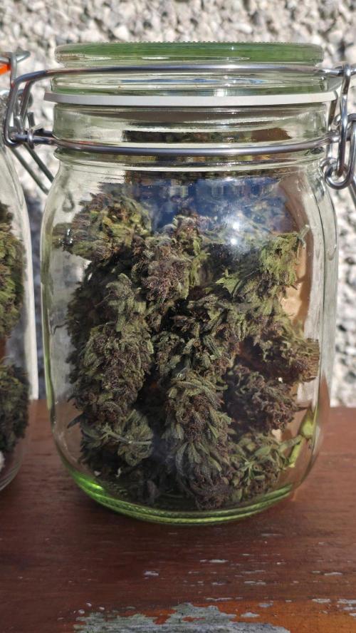 Sundae Worship 🙏. Week 13