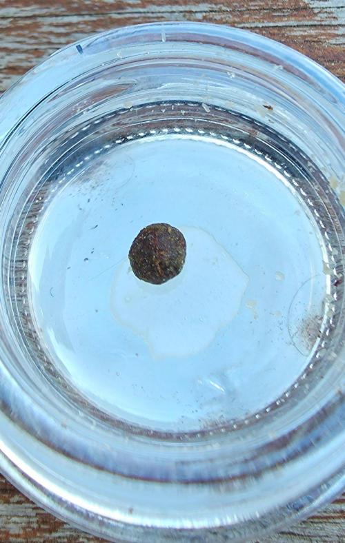 The Mexican Quarter. Week 19