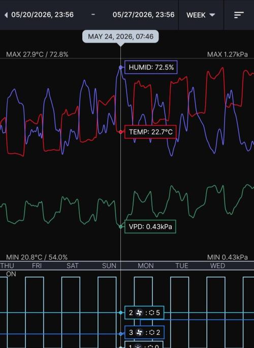First Coco Run (DE/EN) x Hy-Pro. Week 13