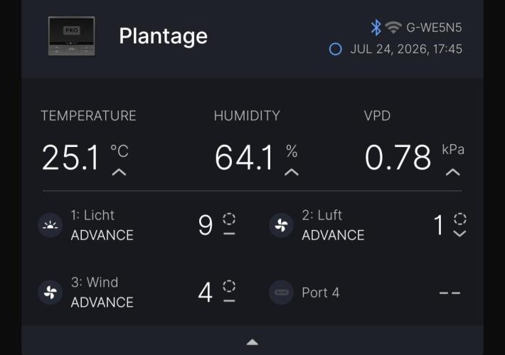 RIP - RF3 Trial Pack | All 3 Strains. Week 1