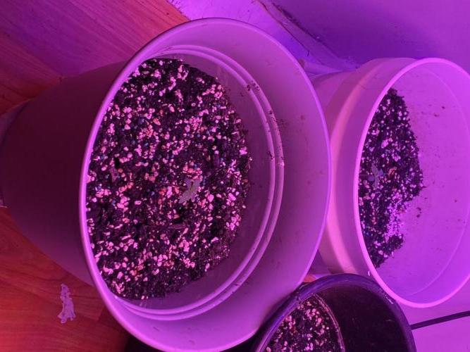 Dustin D. Week 0 - Day three 