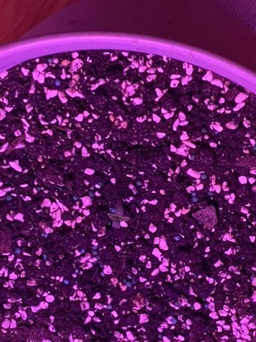 Dustin D. Week 0 - Day 1