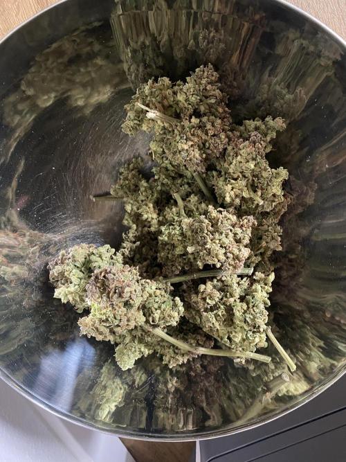 Skunk #1 Automatic (2025). Week 12 - 08.02.26 Endprodukt