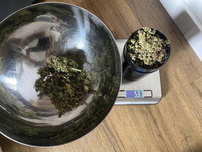 Skunk #1 Automatic (2025). Week 12 - 08.02.26 Endprodukt