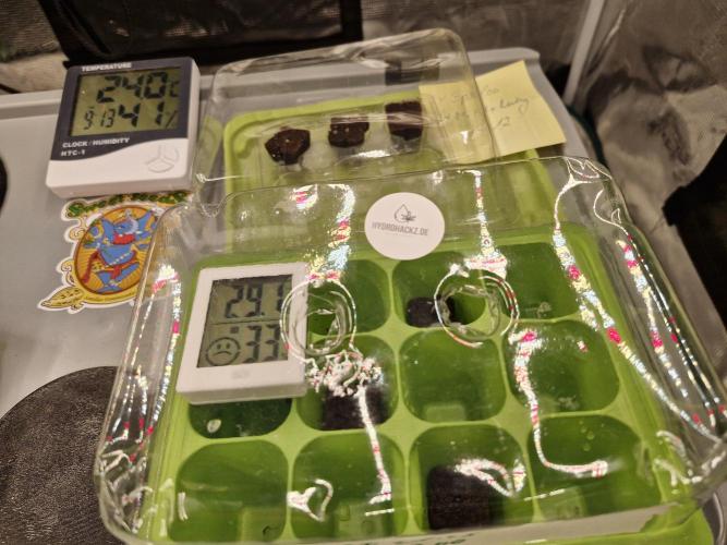 Ganja Farmer x HydroHackz 2026#1 Test. Week 0