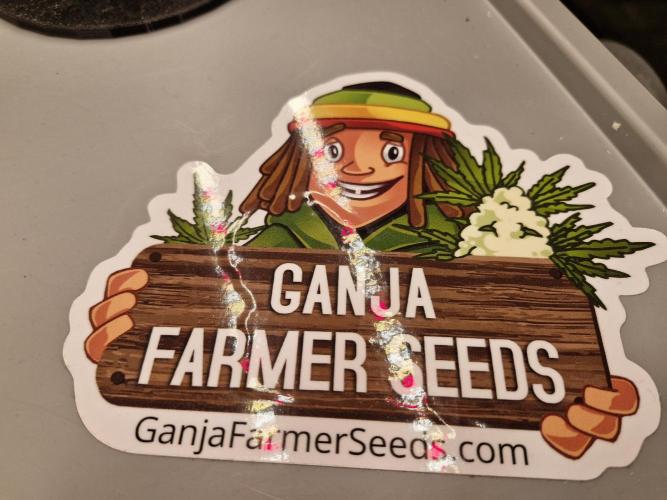 Ganja Farmer x HydroHackz 2026#1 Test. Week 0