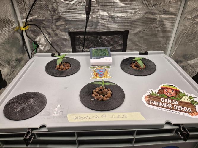 Ganja Farmer x HydroHackz 2026#1 Test. Week 0