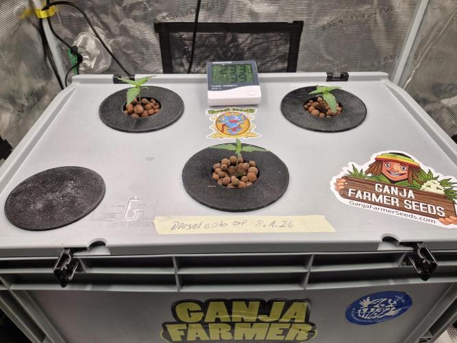 Ganja Farmer x HydroHackz 2026#1 Test. Week 1