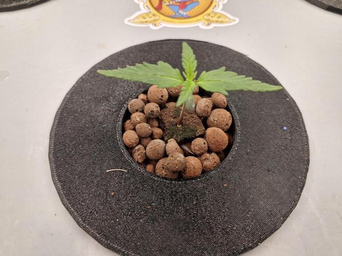 Ganja Farmer x HydroHackz 2026#1 Test. Week 1