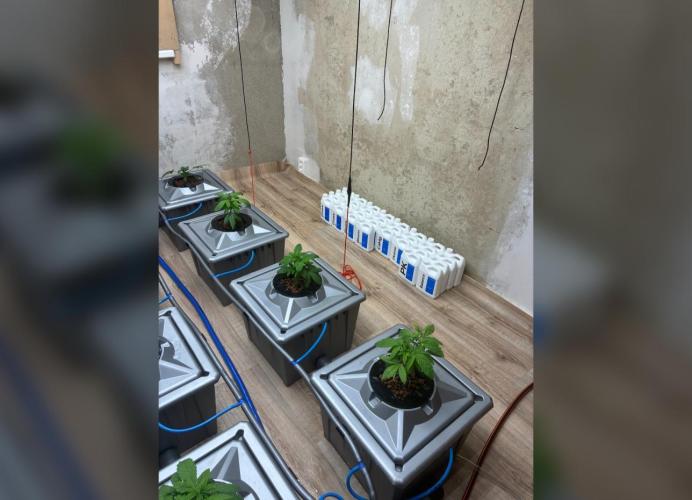 Gelato. Week 4