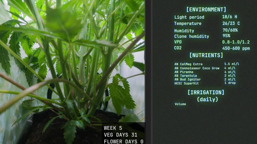 Solfire Gardens - Trich Beast