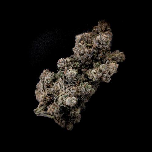 Doctor's Choice - Black mamba #42. Week 16 - #4 top bud