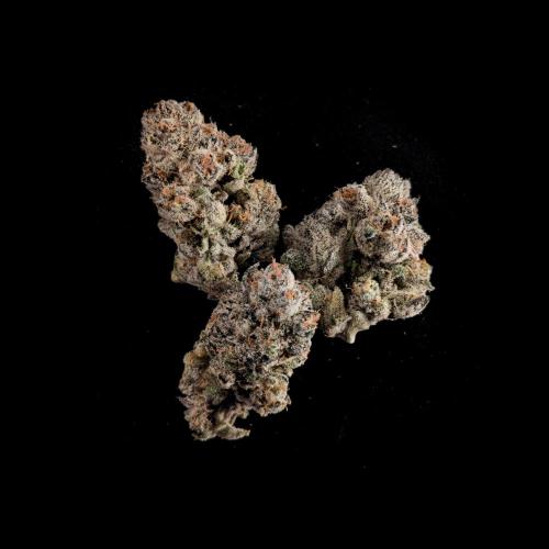 Doctor's Choice - Black mamba #42. Week 16 - #3 top buds