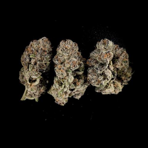Doctor's Choice - Black mamba #42. Week 16 - #3 top buds