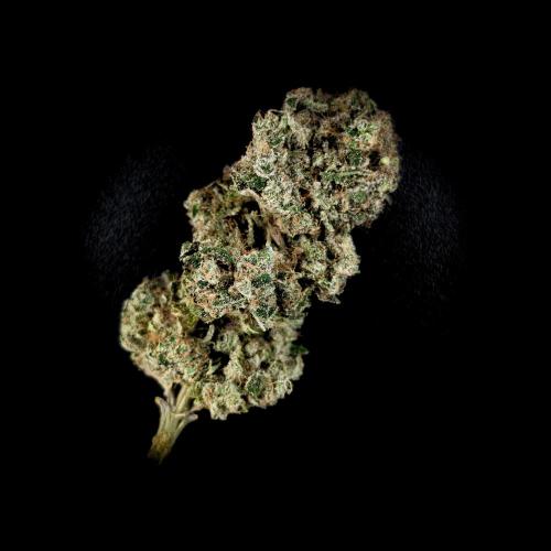 Doctor's Choice - Black mamba #42. Week 16 - #1 top bud