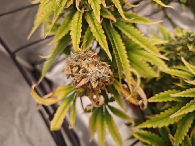 First Photo. Week 13