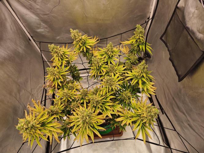 First Photo. Week 13