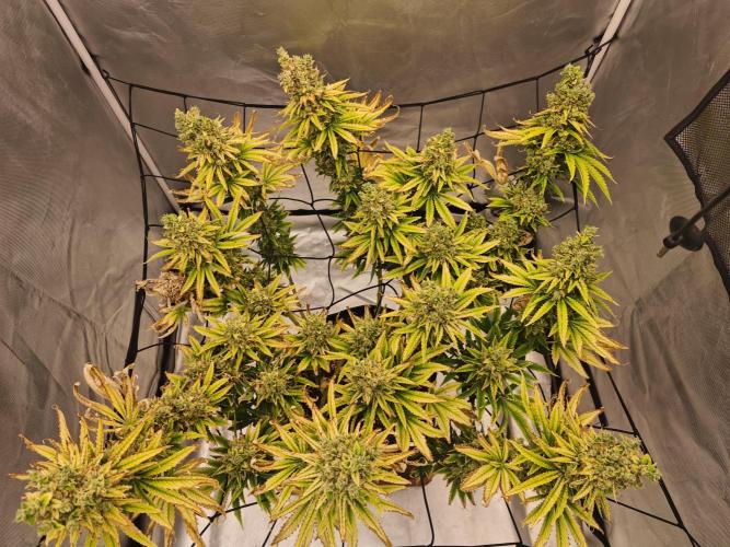 First Photo. Week 13