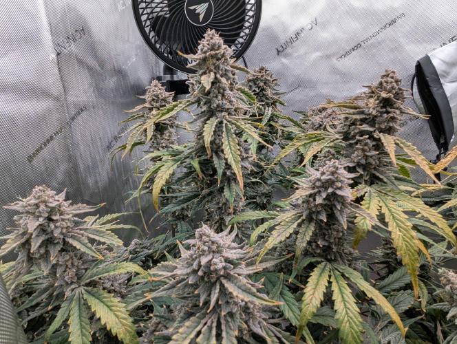 Freedom 35. Week 13 - F63 - DG group shot.