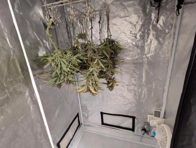 Freedom 35. Week 14 - Dry day #1 for DG.