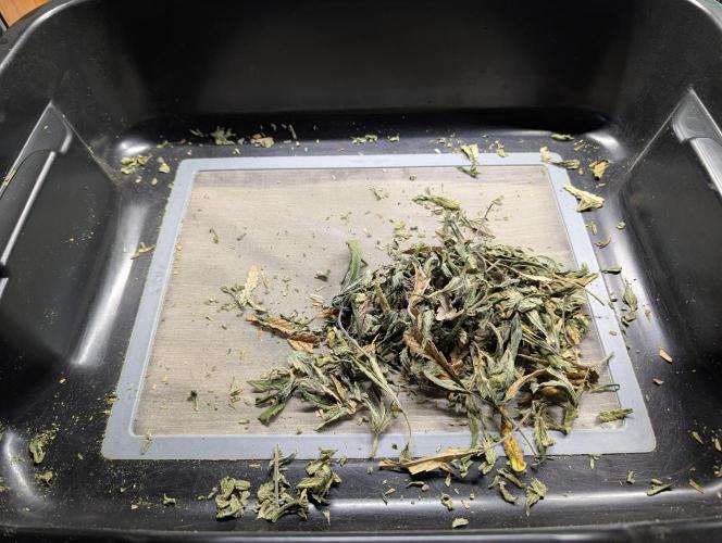 Freedom 35. Week 15 - Trim bin.