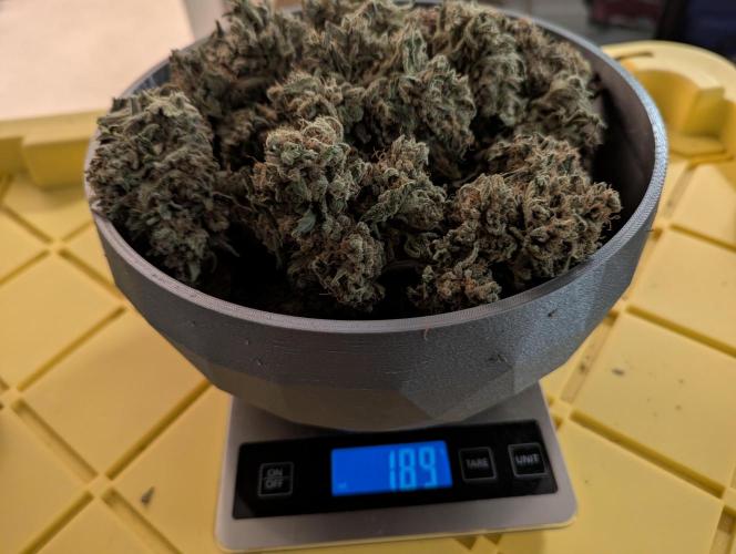 Freedom 35. Week 15 - Weighing bowl #1 for FSx