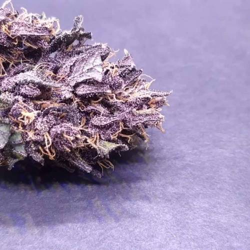 Trying Purple Mandarin