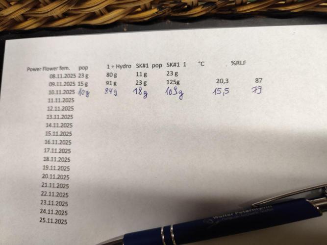 ROOTIES outdoor summer grow 2025. Week 36 - Trocknungsliste