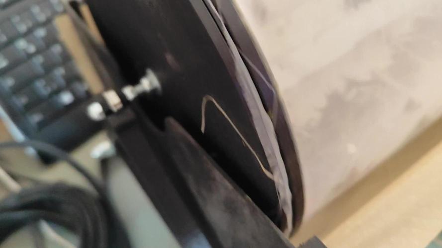 ROOTIES outdoor summer grow 2025