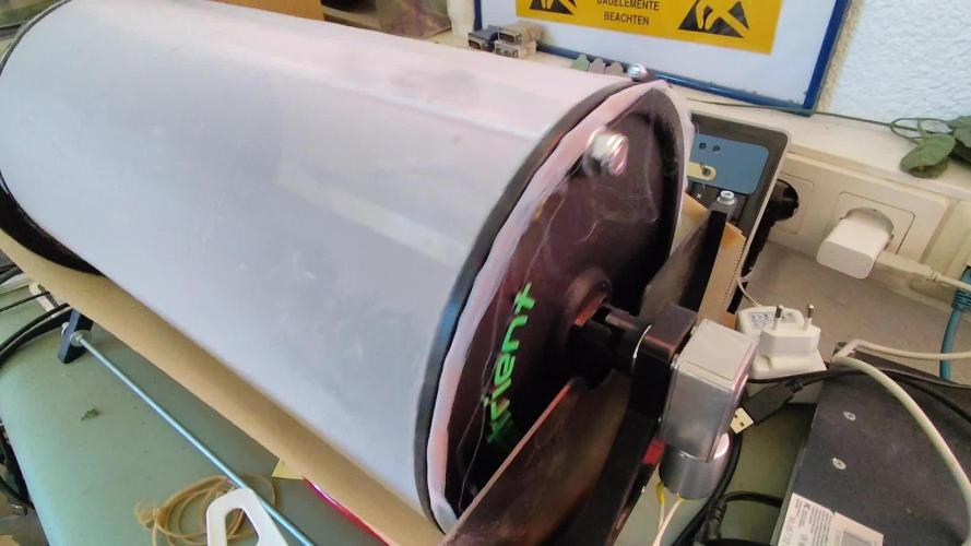 ROOTIES outdoor summer grow 2025