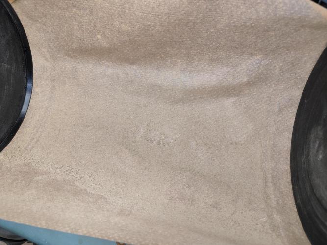 ROOTIES outdoor summer grow 2025. Week 36