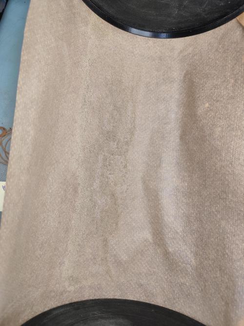 ROOTIES outdoor summer grow 2025. Week 36