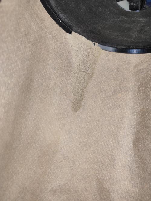 ROOTIES outdoor summer grow 2025. Week 36