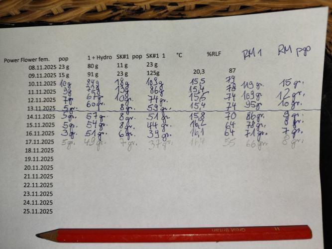 ROOTIES outdoor summer grow 2025. Week 36 - Trocknungsplan