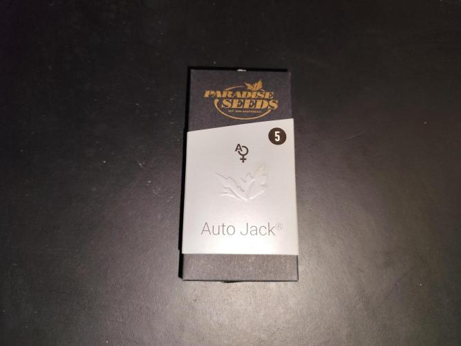 Auto Jack  von Paradise Seeds. Week 0